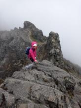 Imagen Rucu Pichincha arista