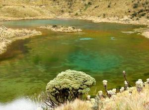 Imagen foto1-mod333