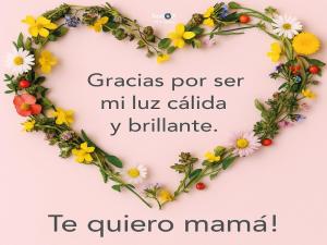 Imagen Te quiero mamá