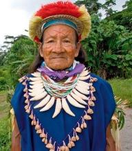 Secoya
