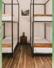Wild Monkey Hostel