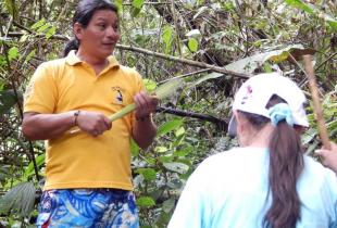 Tour privado vs Tour compartido