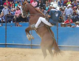 Imagen Rodeo Montubio en Pimocha