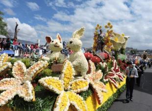 Fiesta de la Fruta y de las Flores