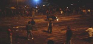 Imagen Fiestas Virgen de la Caridad