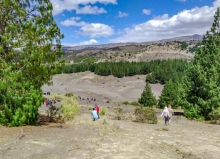 Imagen Desierto de Palmira