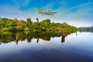 Imagen Paisaje amazonia