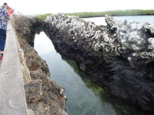 Imagen Galápagos Yate Darwin