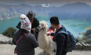 Imagen Llamas en Quilotoa