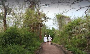 Imagen Camino - Tortuga Bay