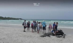 Imagen Camino a Tortuga Bay