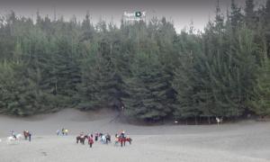 Imagen Desierto de Palmira