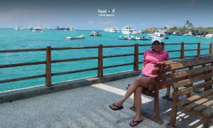 Imagen Muelle - Pto Ayora