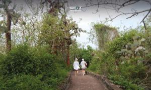 Imagen Sendero - Tortuga Bay