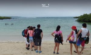 Imagen Playa los Alemanes