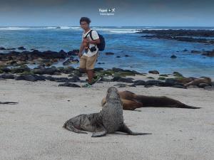 Imagen Playa la Lobería