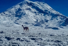 Imagen Volcán Chimborazo