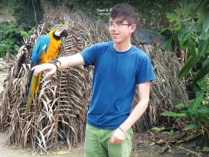 Imagen Guacamayo