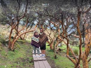 Imagen Bosque de Polylepis