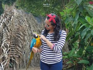 Imagen Junto a un guacamayo
