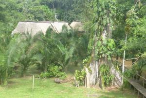 Imagen Cabañas en medio de la selva