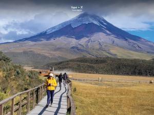 Cotopaxi Horseback