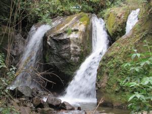 Imagen Cascadas
