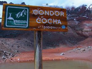 Imagen Cóndor Cocha