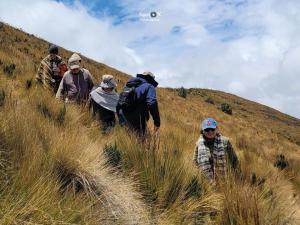 Imagen Caminata