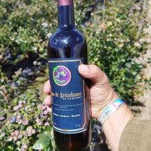 Imagen Vino de Arándanos