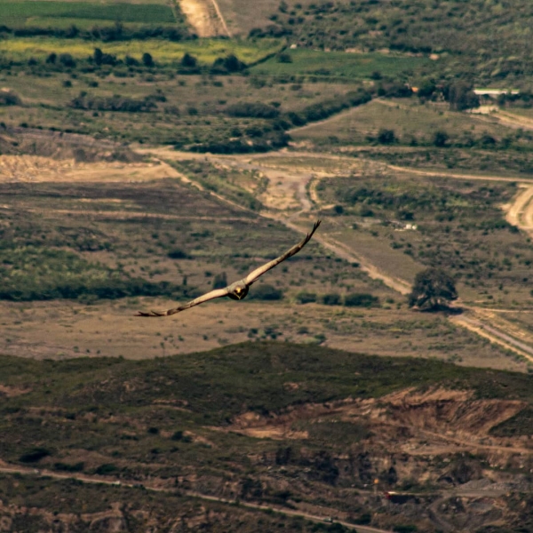 Yahuarcocha