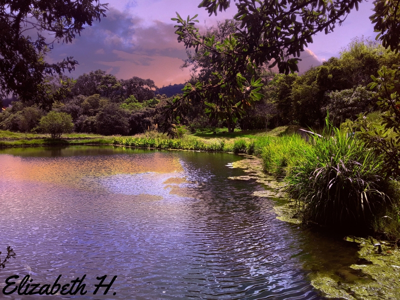 Naruraleza 🍁🍃☘️