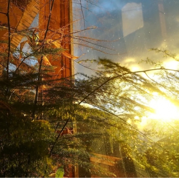 Atardecer 