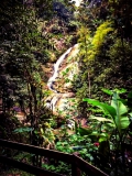 Tras 5 minutos de senderismo 🥾 llegarás al paraíso junto a esta cascada 