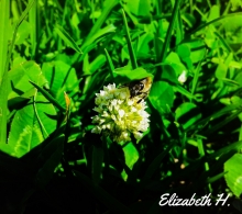 Conoce 🐝☘️y experimenta lo que hay a tu alrededor🍀🍁
