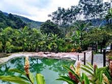 Naturaleza, oxigeno, vida 