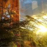 Atardecer 